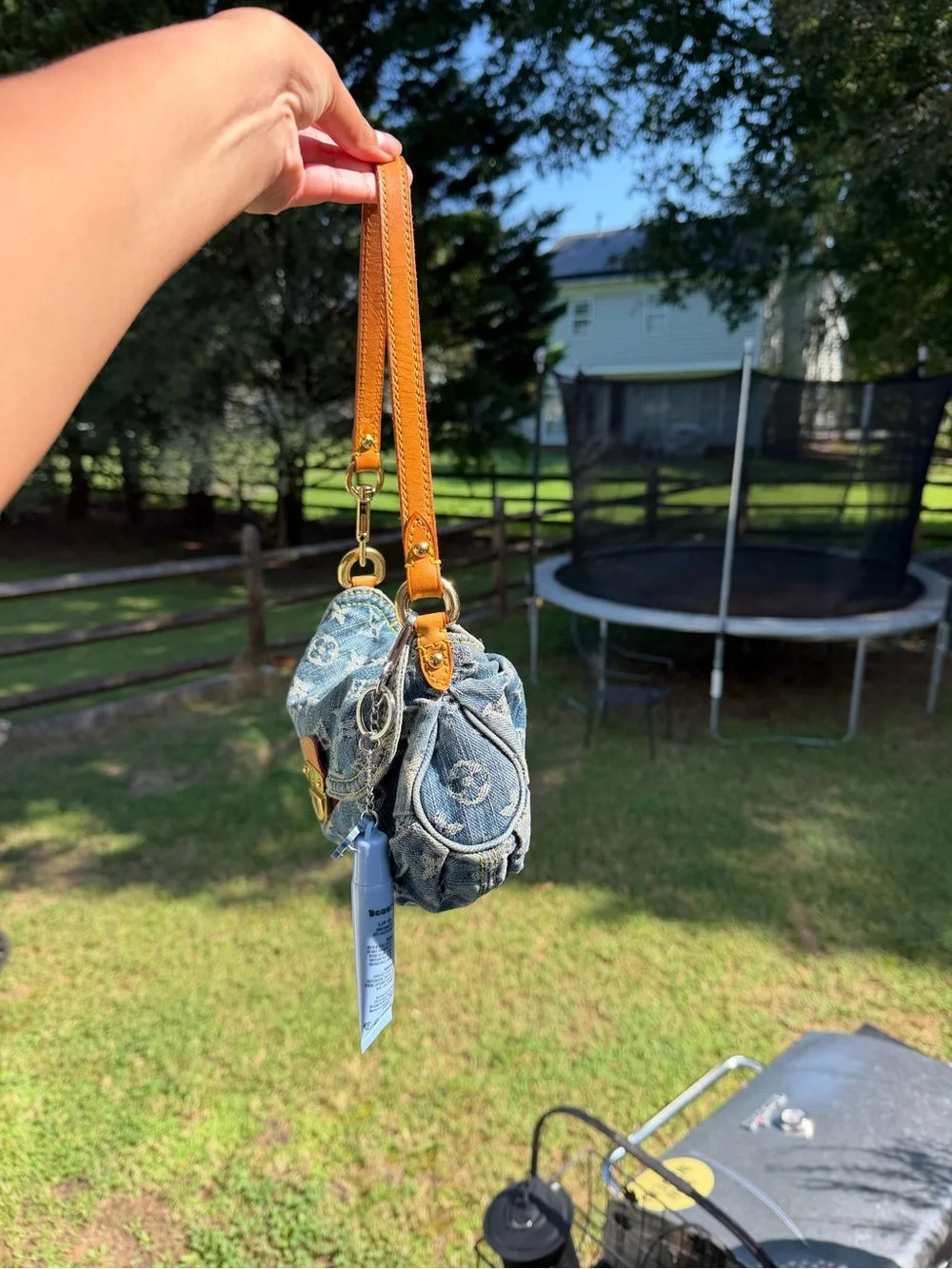 Louis Vuitton monogram pleaty bag